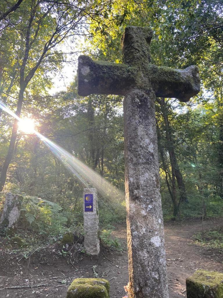 Casa Celia Camino Portugues Daire Tui Dış mekan fotoğraf