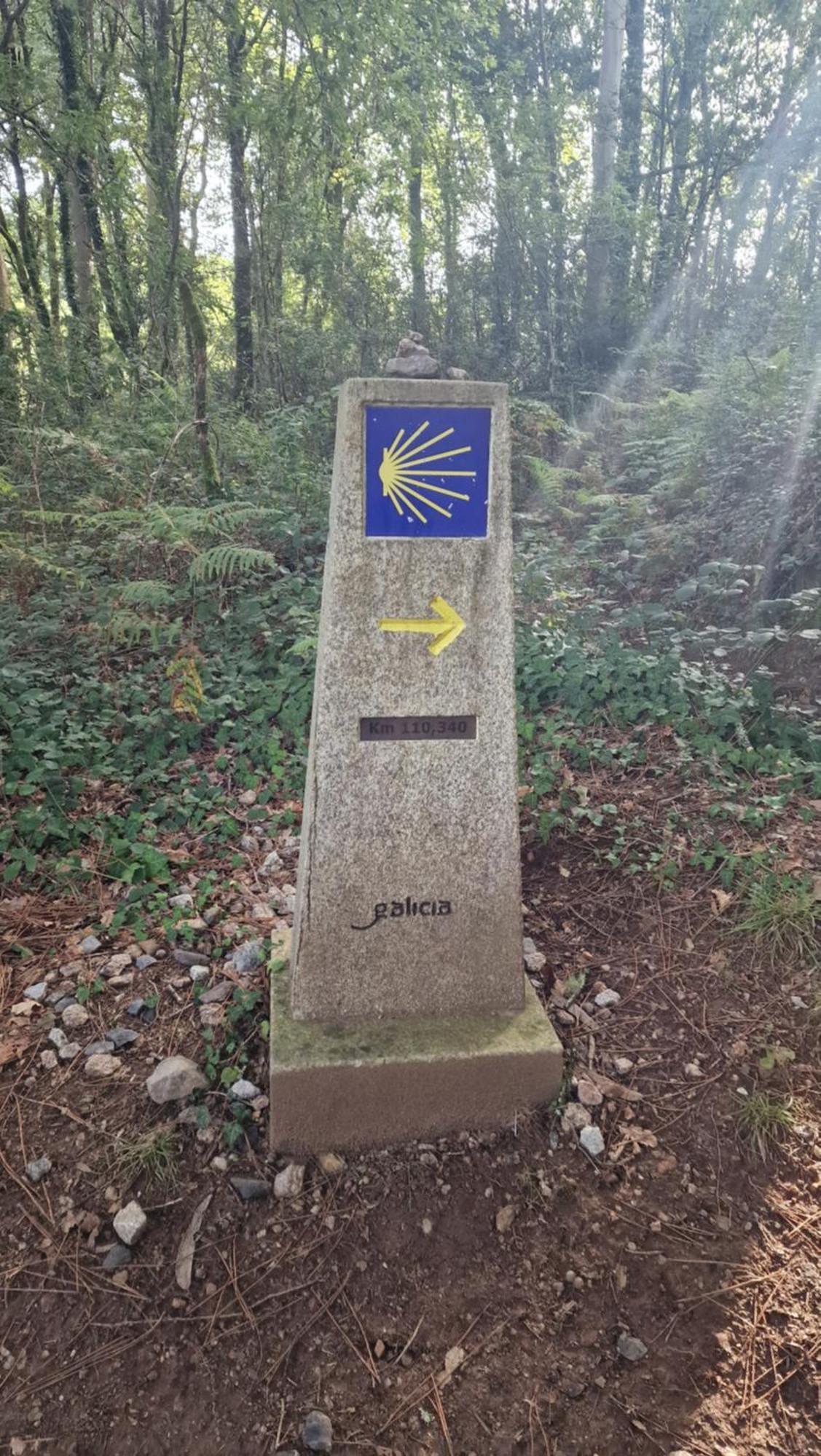 Casa Celia Camino Portugues Daire Tui Dış mekan fotoğraf