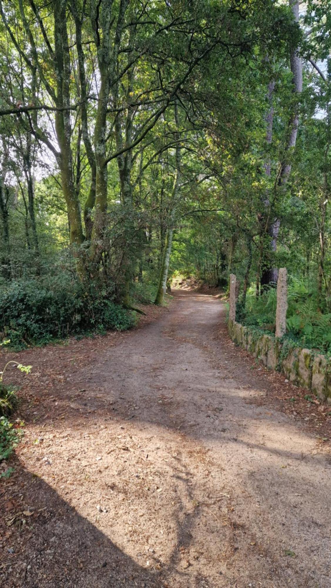 Casa Celia Camino Portugues Daire Tui Dış mekan fotoğraf